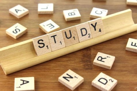 Tips To Successfully Study